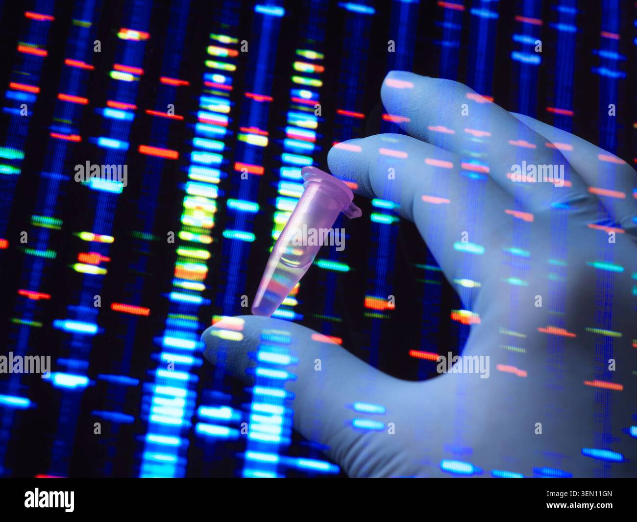 Mano con guanti che regge la provetta su uno sfondo di sequenziamento del DNA con barre blu e rosse. Foto Stock