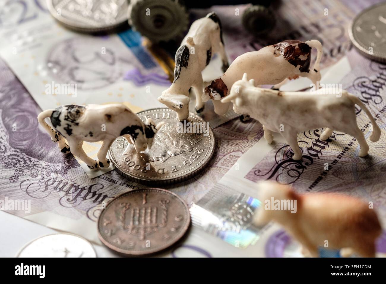 Costo della produzione alimentare nel Regno Unito. Immagine concettuale di animali modello e denaro contante Foto Stock