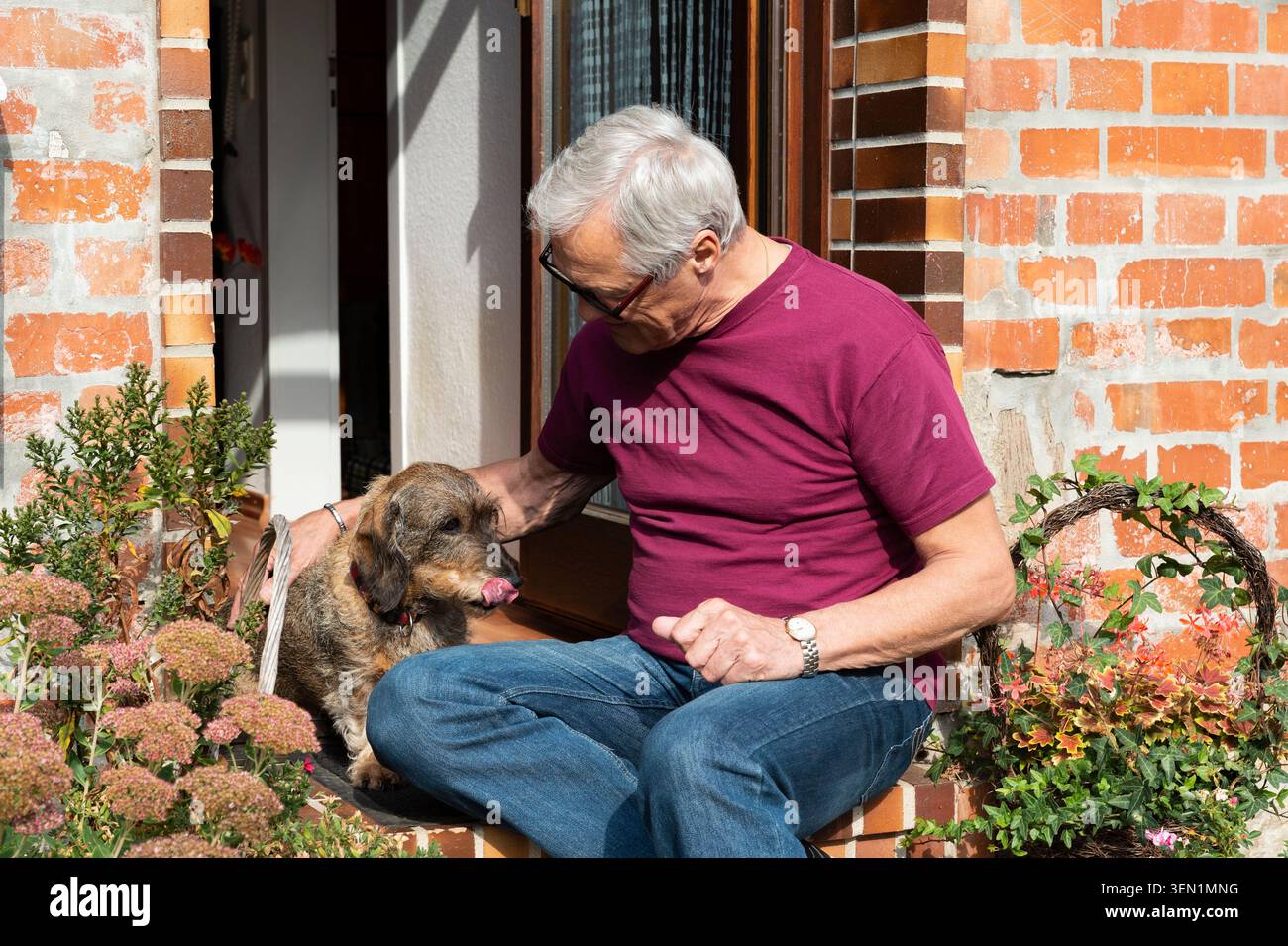 Uomo e dachshund che si godono il sole del tramonto fuori dalla porta d'ingresso Foto Stock