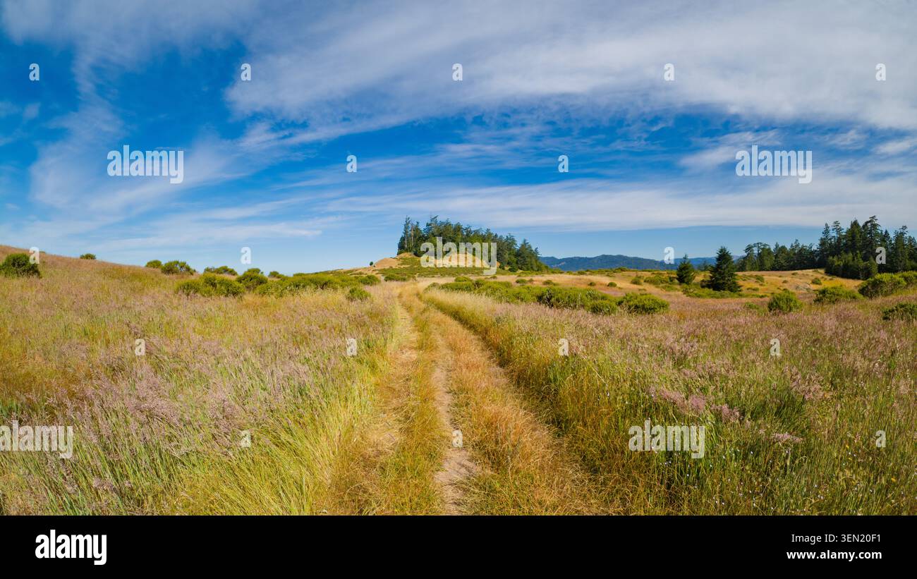 Il sentiero si snoda tra i prati dorati della costa e le colline ondulate lungo il sentiero Island in the Sky Foto Stock