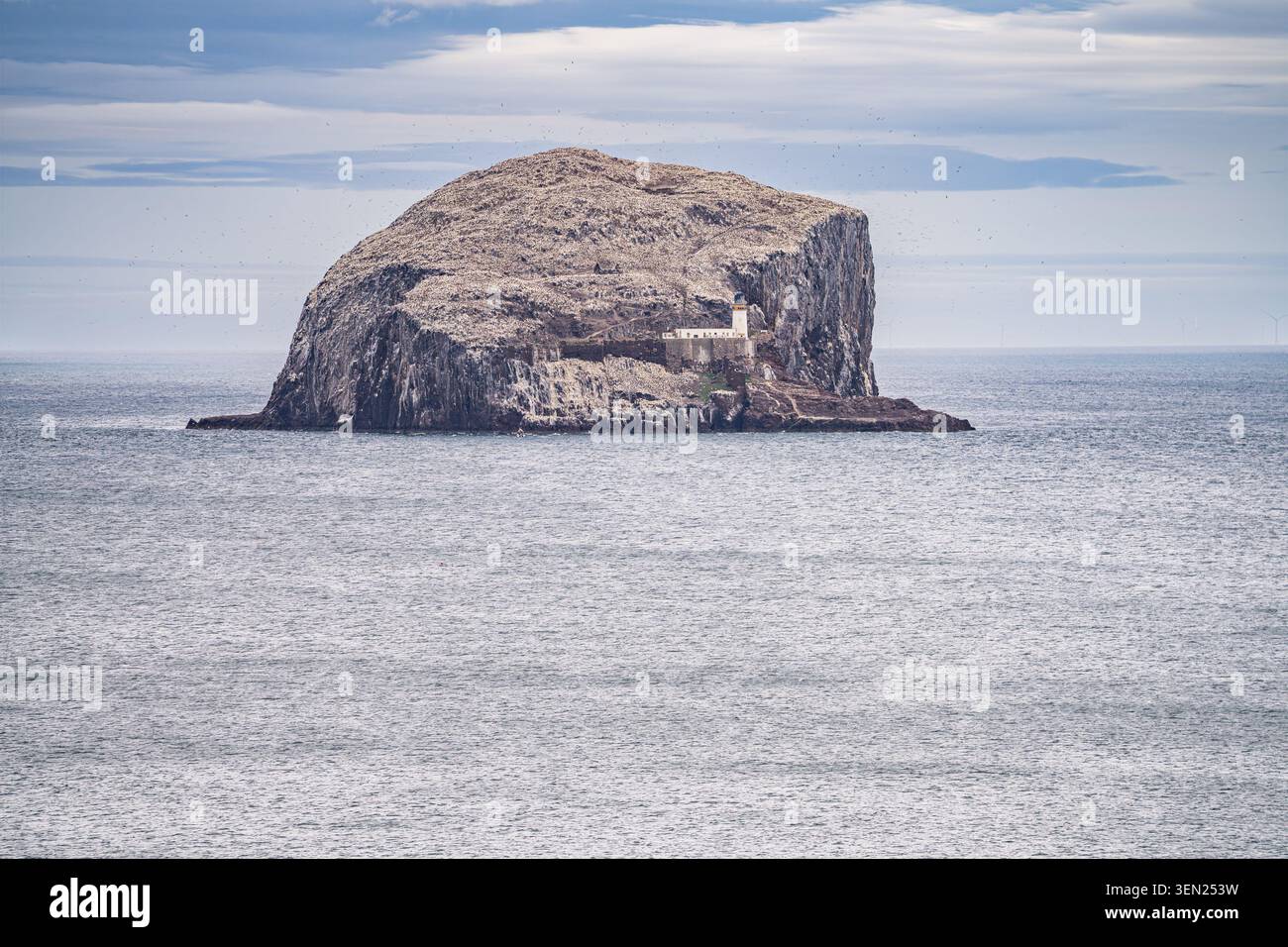 Teleobiettivo zoom di Bass Rock dalla costa orientale del Lothian, Scozia, che mostra l'isola vulcanica che si innalza dal mare con la sua grande colonia di uccelli marini, Foto Stock