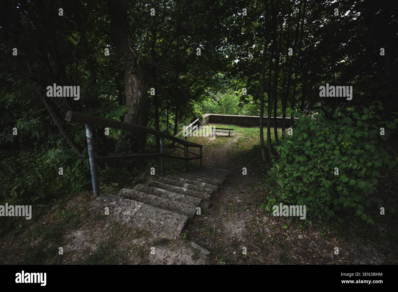 I sentieri e le viste sul Mönchsberg nella città di Mozart di Salisburgo in primavera. Foto Stock