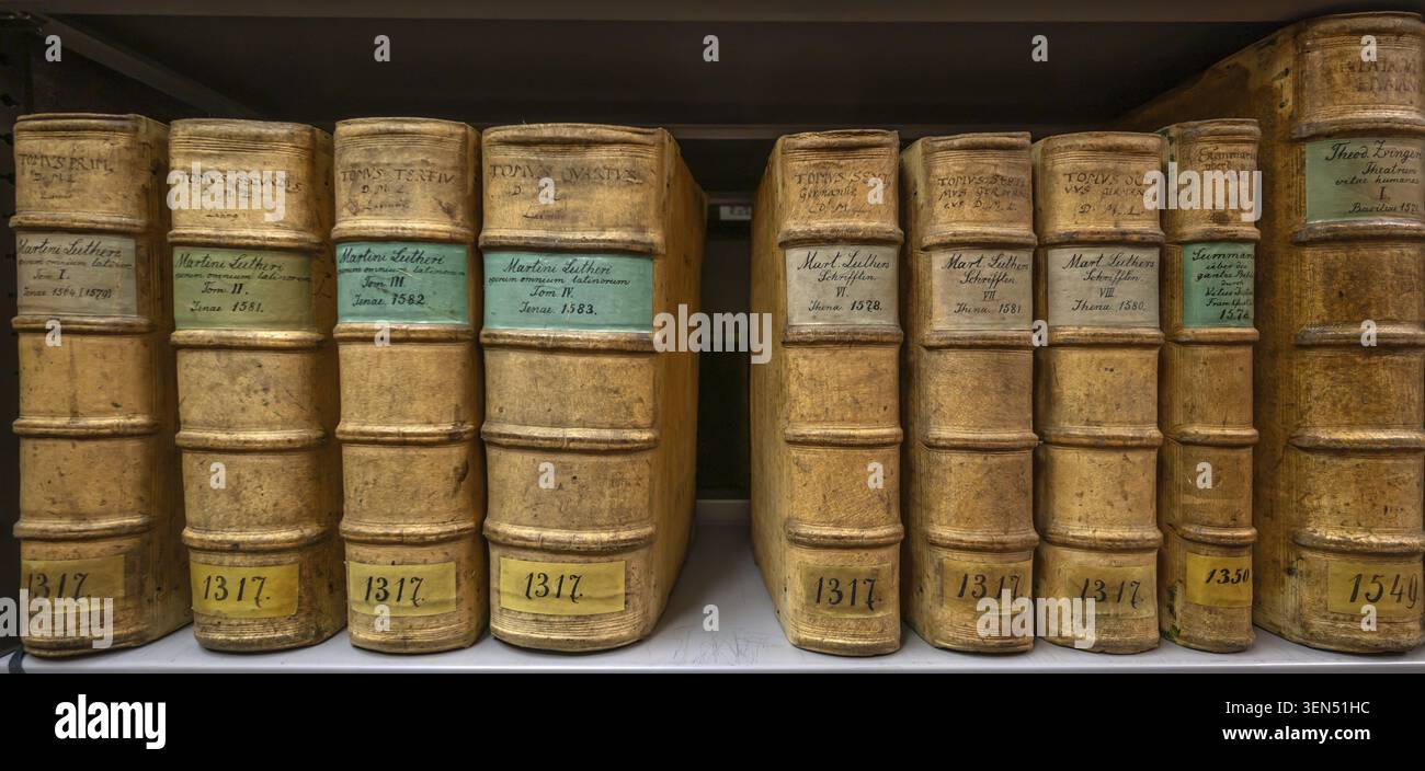 Spine di libri antichi del XVI secolo, Franconia, Baviera, Germania Foto Stock