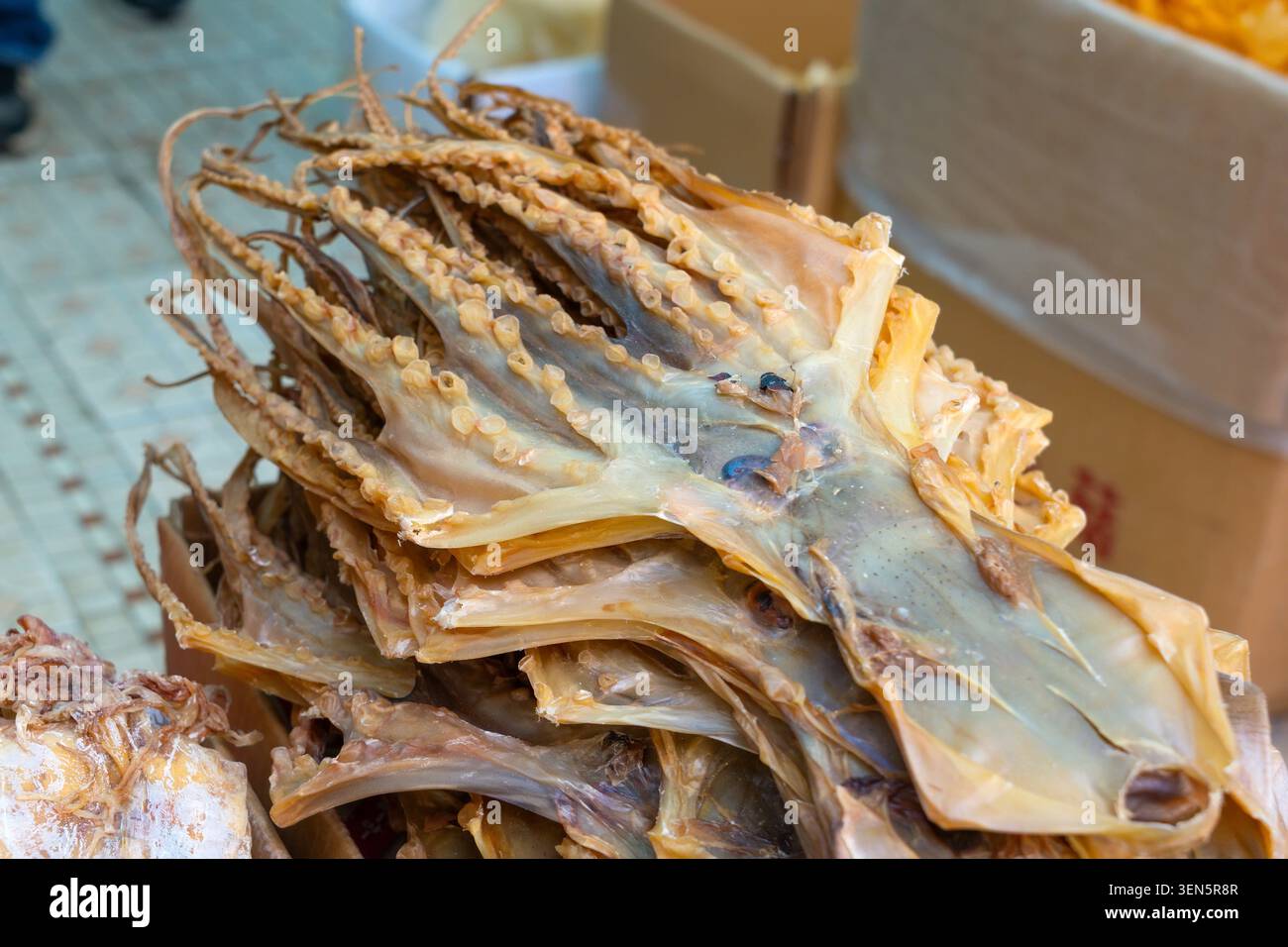 Il fornitore presenta una disposizione di calamari essiccati in un mercato vivace. La luce del sole esalta la consistenza e il colore dei frutti di mare, attirando i curiosi Foto Stock