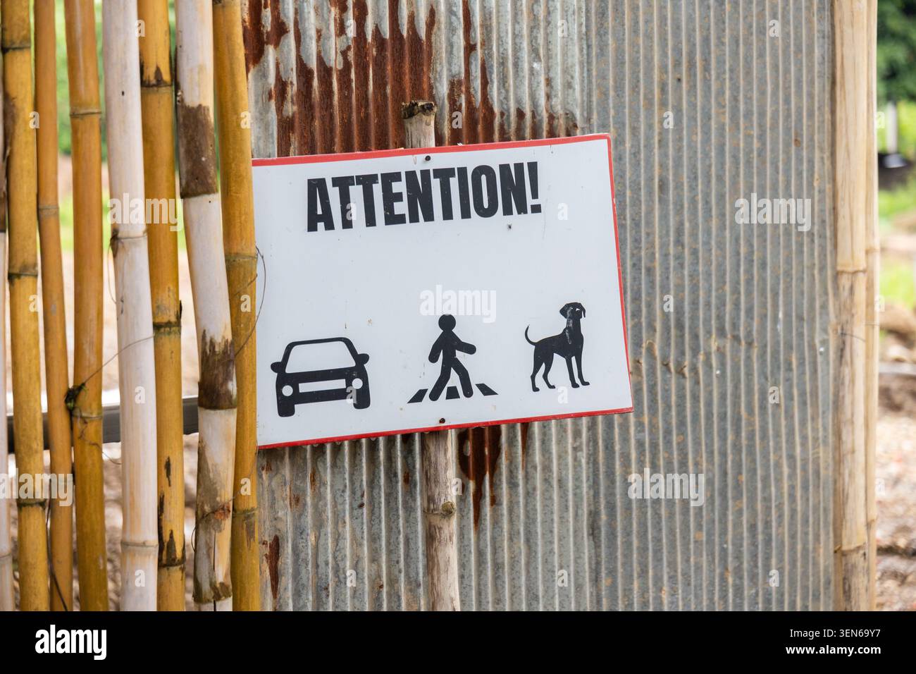 Cartello segnaletico di avvertenza pedonale cane auto sicurezza stradale pannello di recinzione in bambù in metallo su parete rustica ondulata con messaggio di attenzione per la consapevolezza del traffico Foto Stock