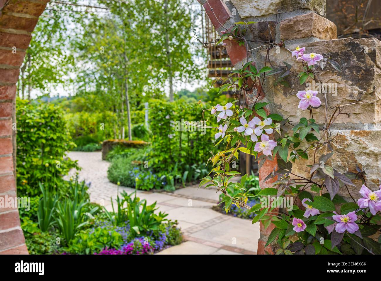 Giardino naturale con sentiero, circondato da piante verdi Foto Stock