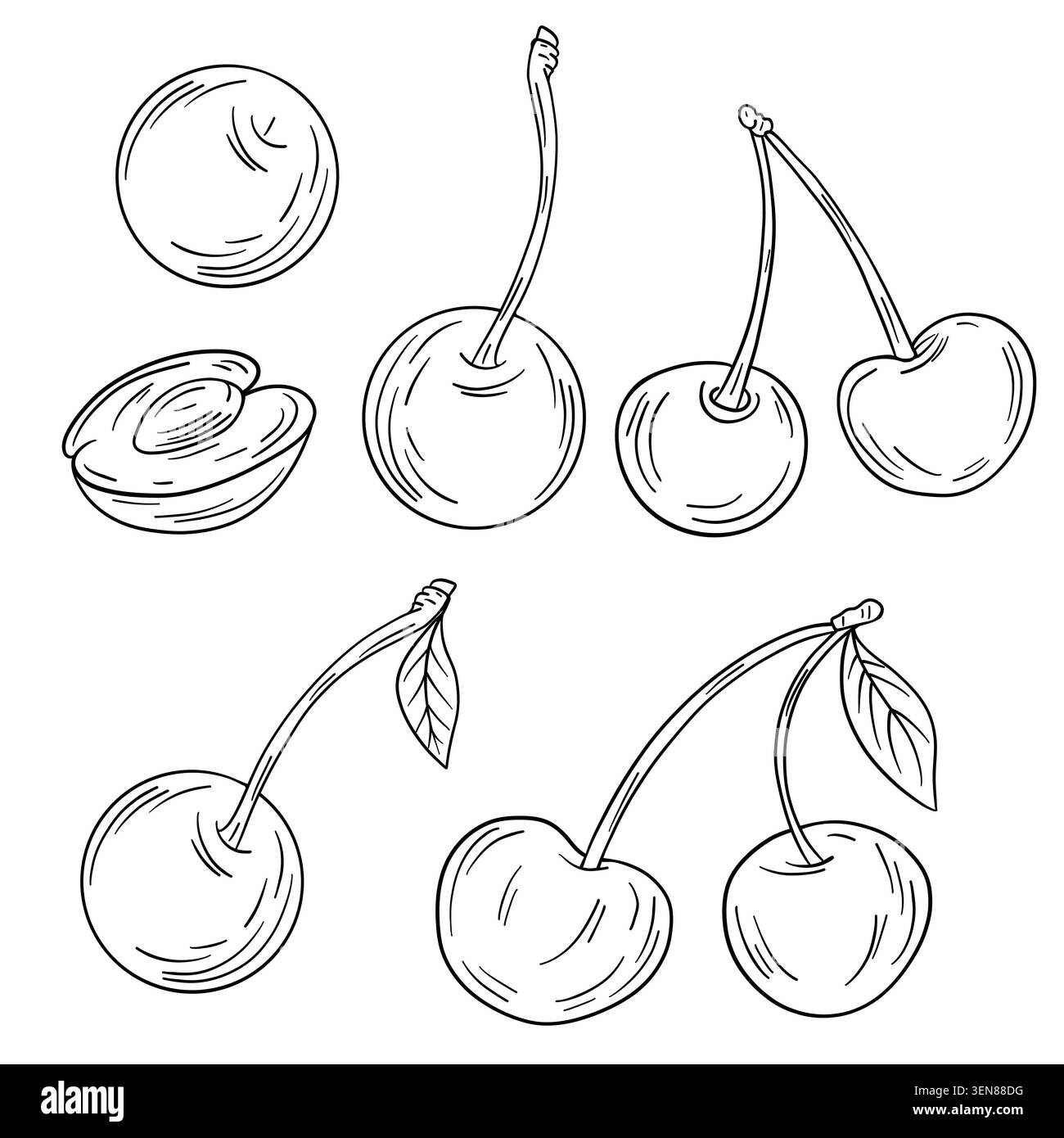Illustrazione in bianco e nero disegnata a mano di ciliegie e ciliegie dolci disegnate come pagina di colorazione. Arte in linea pulita con paia di fresco Foto Stock
