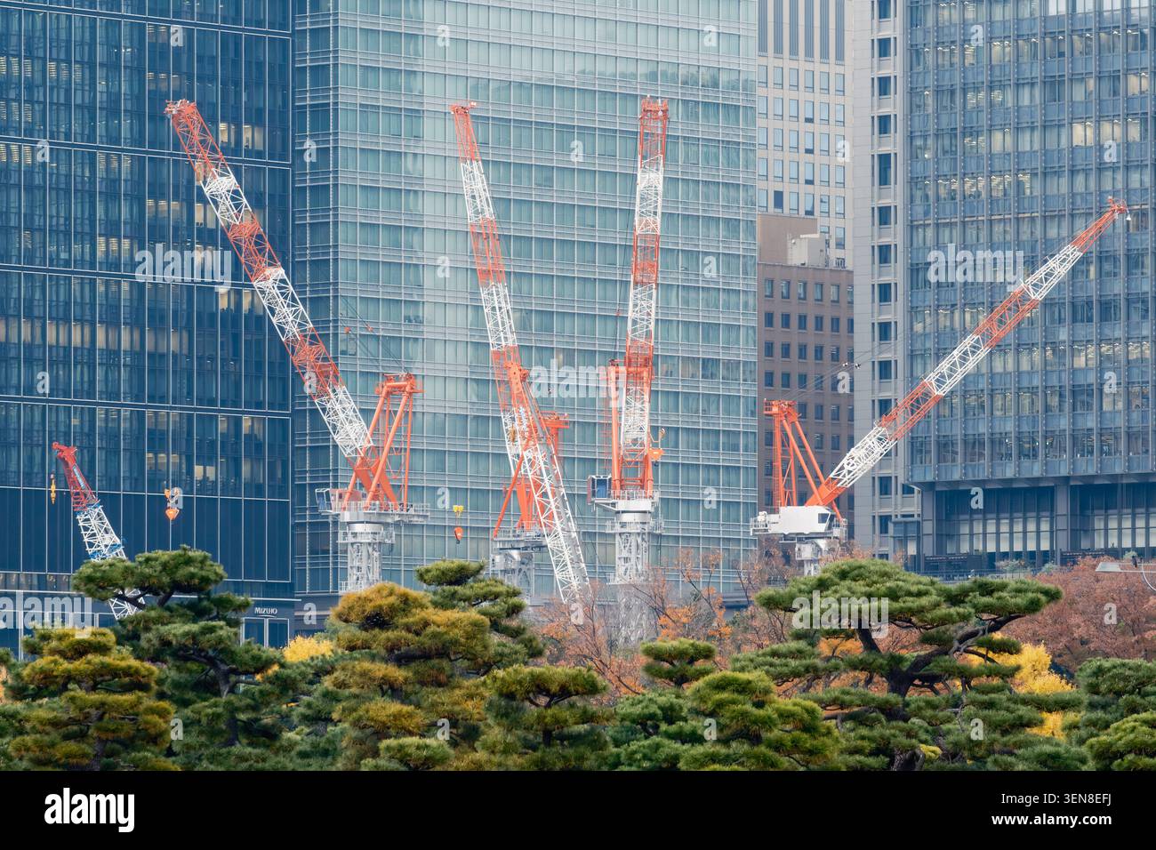 Grandi gru industriali rosse e bianche che torreggiano sugli alberi verdi del parco di fronte ai grattacieli di vetro, Tokyo, Giappone Foto Stock