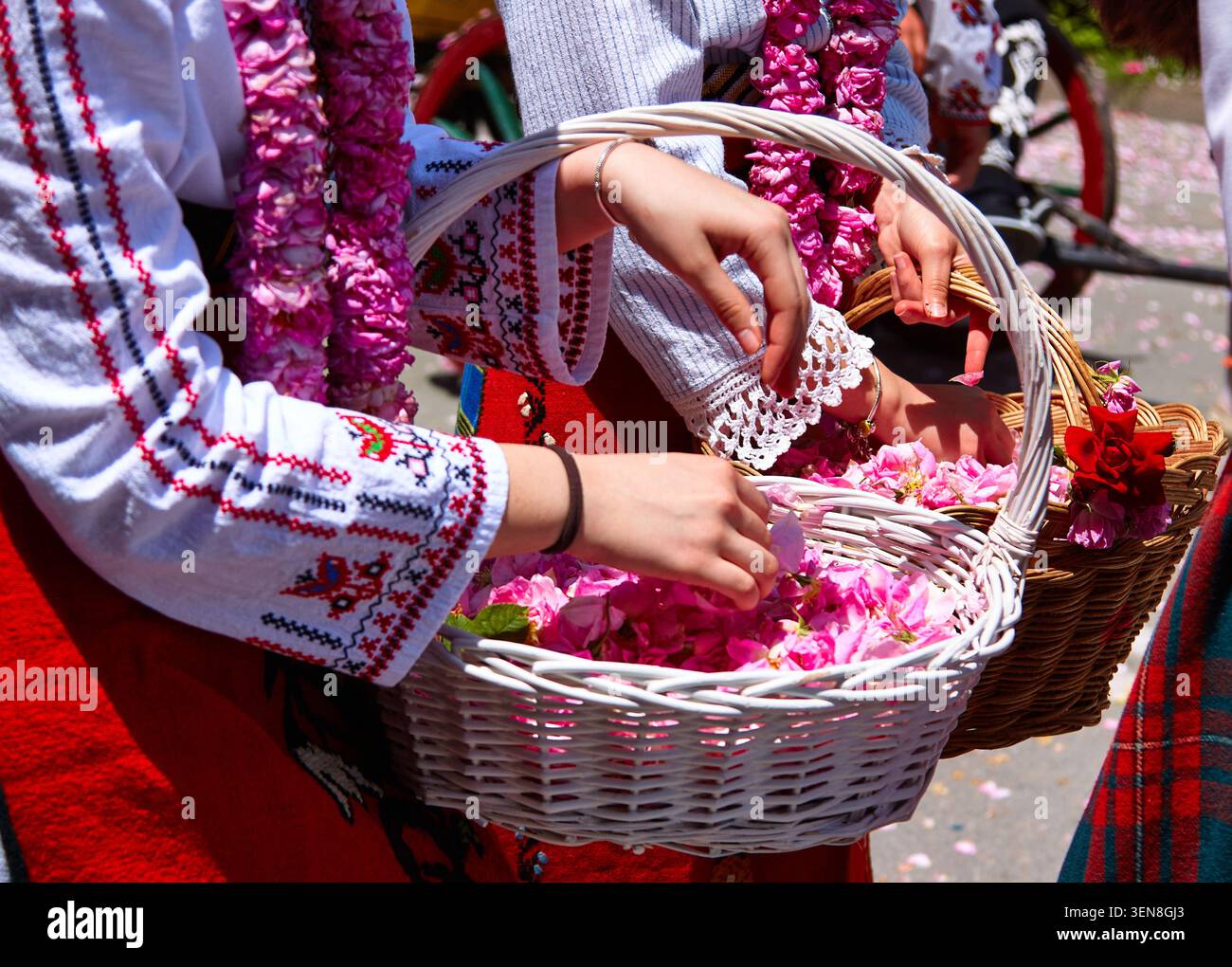 Le ragazze espongono cesti di petali rosa mentre indossano un tradizionale abbigliamento ricamato con decorazioni floreali Foto Stock