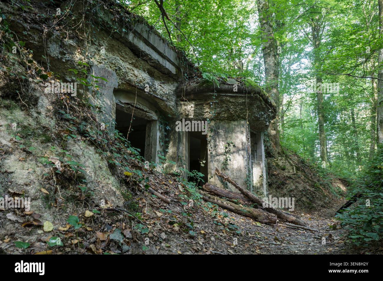 A deux kilometres de lignes, les abris du Kronprinz furent édifiés par les troupes Allemandes dans la Forêt située à la sortie du Village de Varennes- Foto Stock