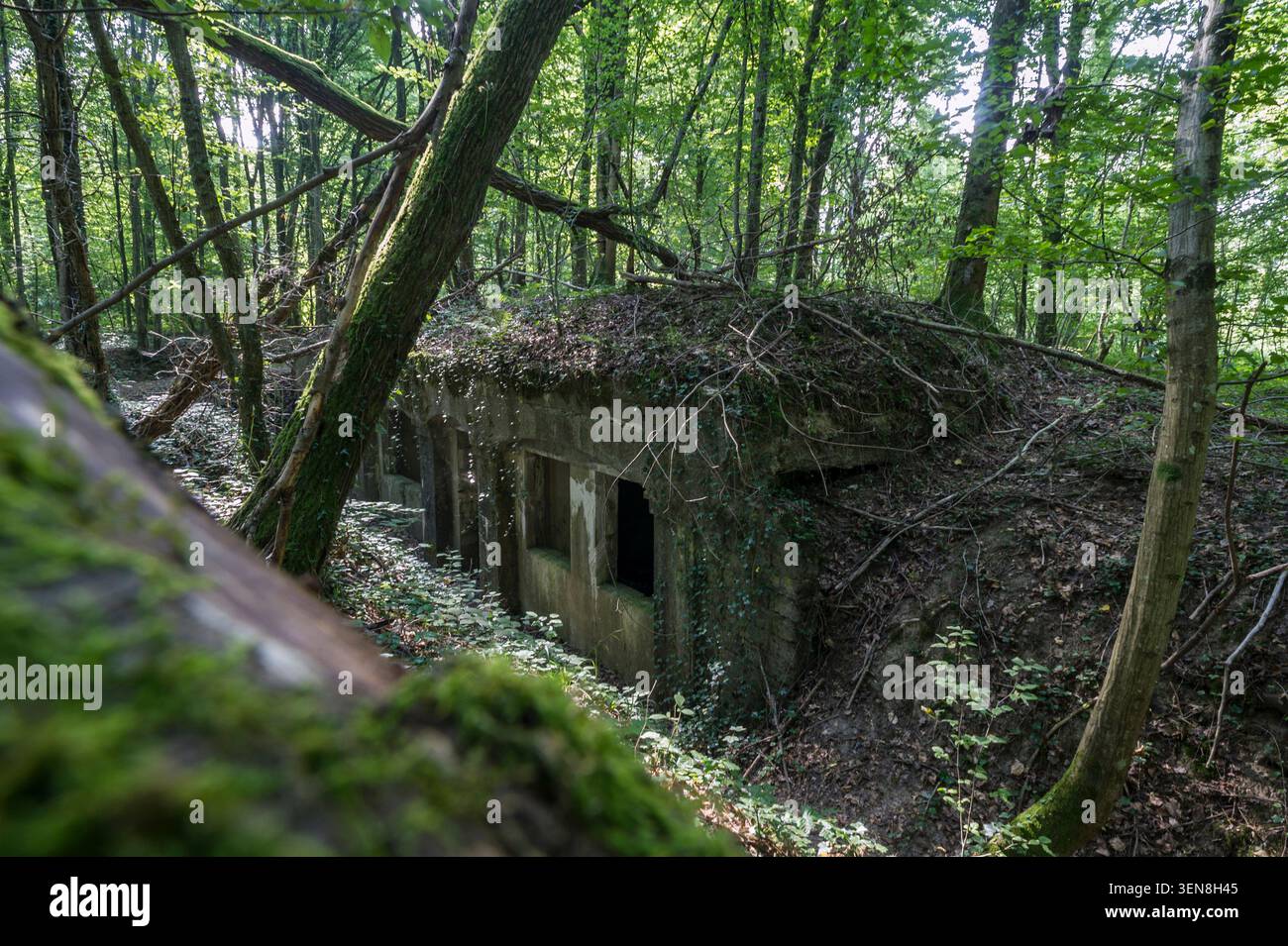 A deux kilometres de lignes, les abris du Kronprinz furent édifiés par les troupes Allemandes dans la Forêt située à la sortie du Village de Varennes- Foto Stock
