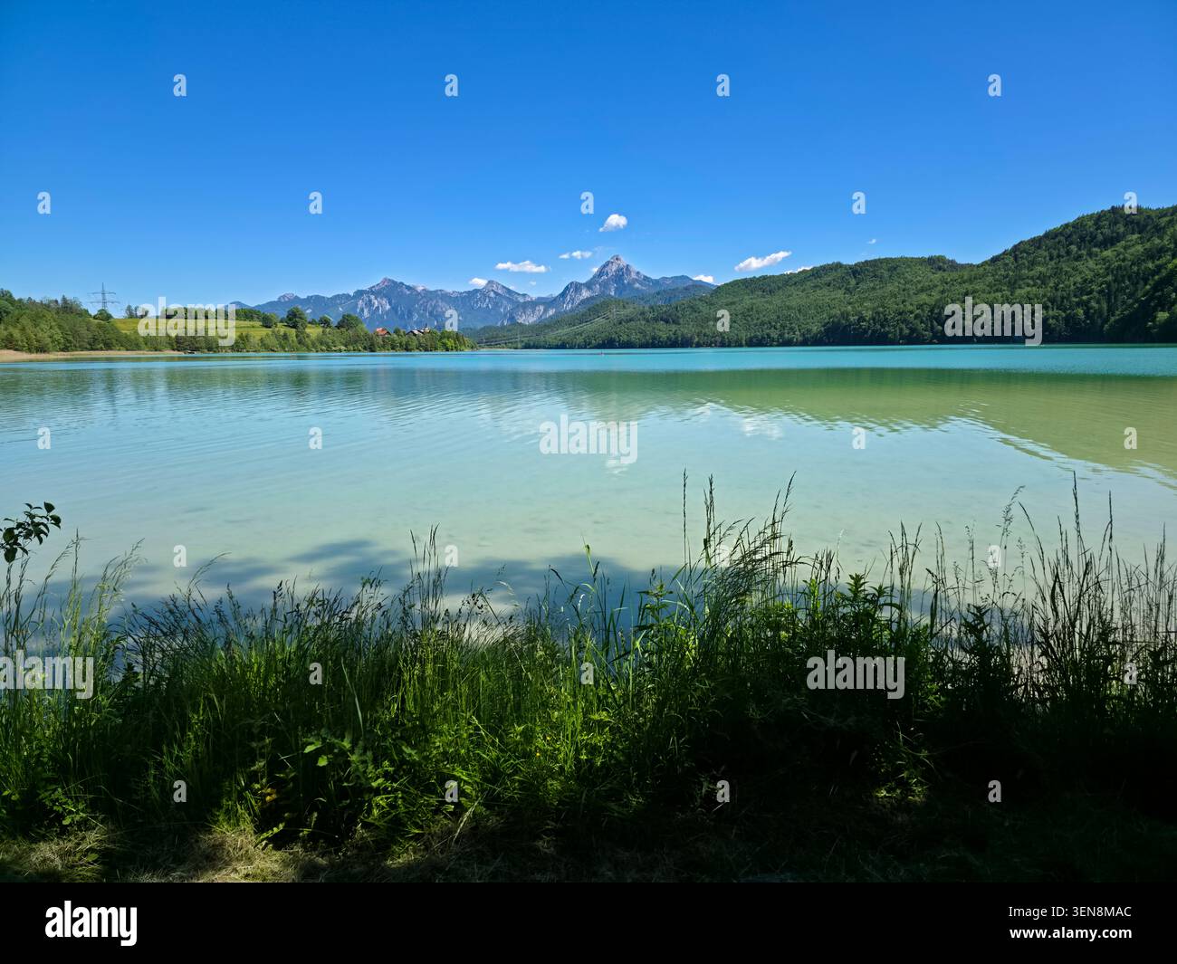 germania, rilassante rifugio sul lago sotto l'ombroso albero che si affaccia sul weissensee e sui maestosi orizzonti alpini Foto Stock