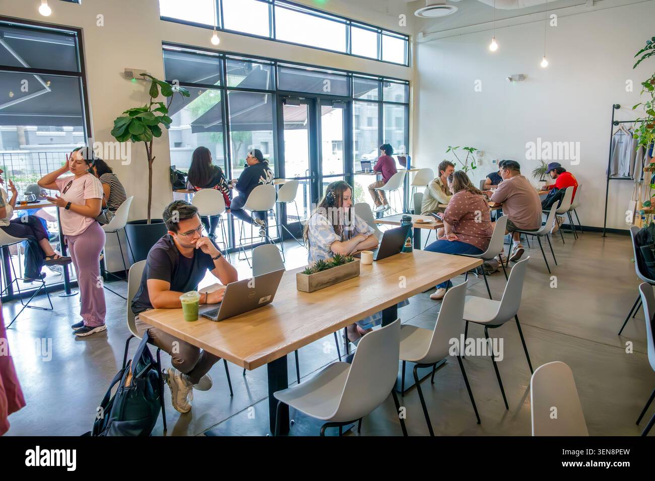 Phoenix Arizona, caffetteria, spazio di coworking, uomini e donne, giovani adulti, clienti, uso di computer portatili, lavoro remoto, freelance, nomadi digitali, caffè Foto Stock