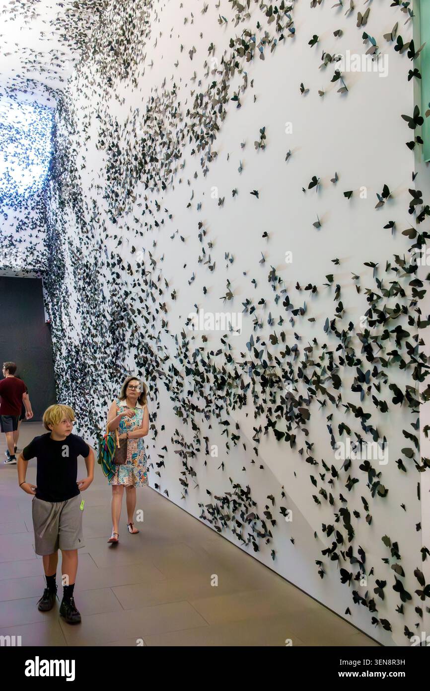 Phoenix, Arizona, Phoenix Art Museum, Central Arts District, installazione di farfalle, scultura murale, arte farfalla, arte contemporanea, visitatori del museo, woma Foto Stock