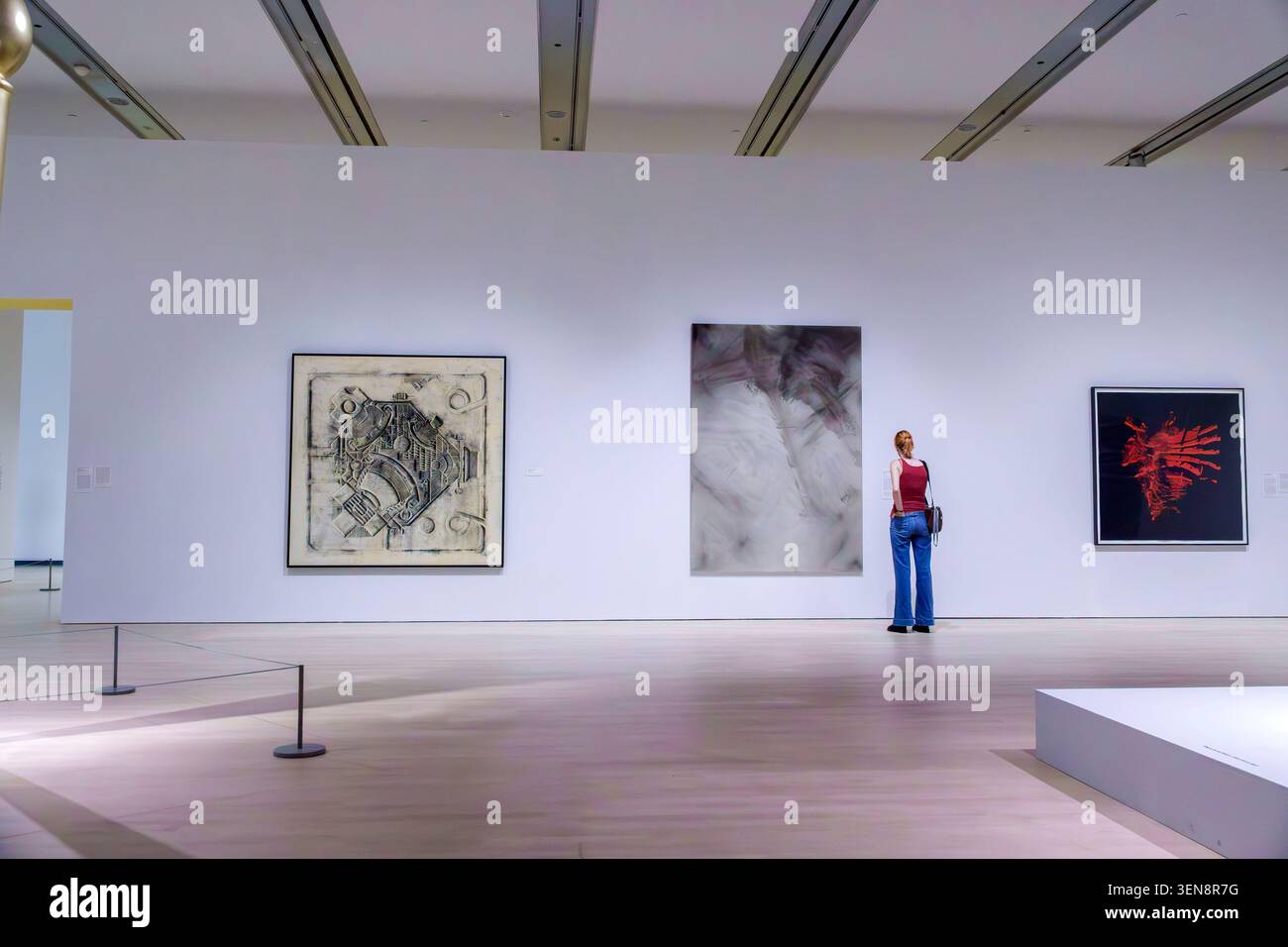 Phoenix, Arizona, Phoenix Art Museum, Central Arts District, donna adulta, visitatrice femminile, apprezzamento artistico, opere d'arte astratte, pittura contemporanea, belle arti Foto Stock