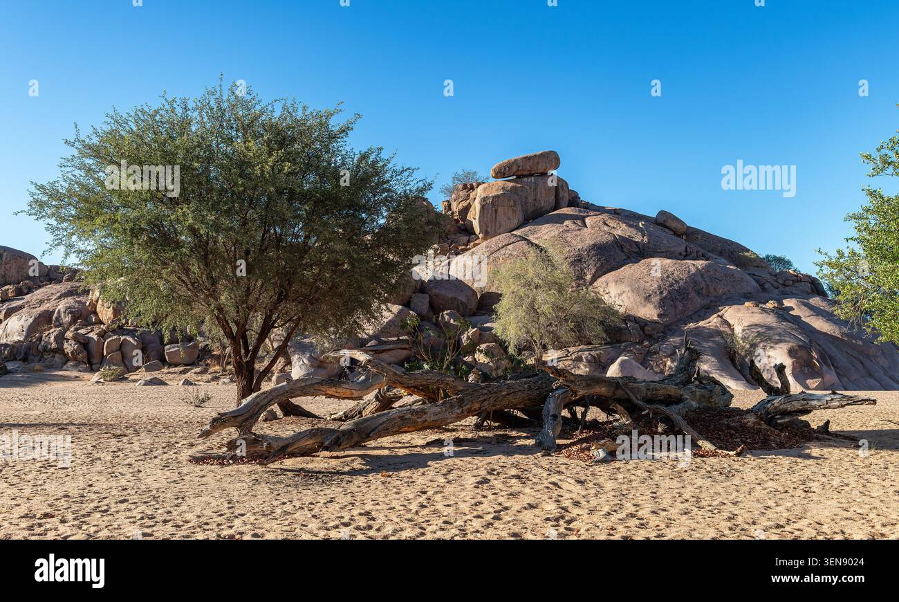 Paesaggio ai piedi del massiccio del Brandberg, Namibia Foto Stock
