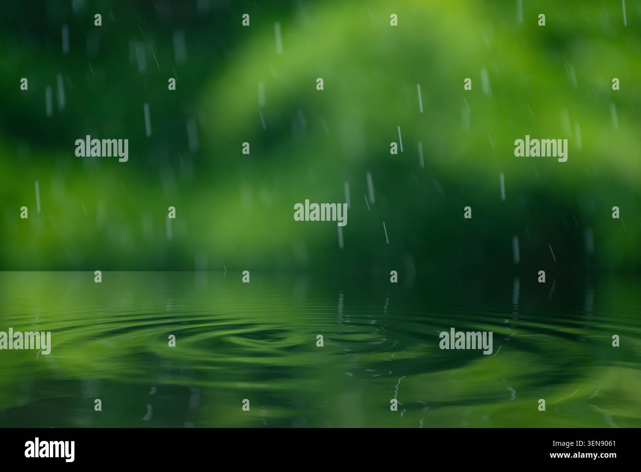 Sfondo naturale con gocce di pioggia sulla superficie dell'acqua e fogliame verde sfocato bokeh Foto Stock