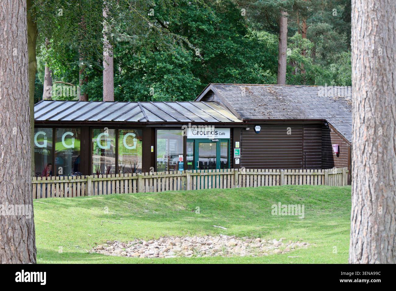 Cannock Chase Grounds Cafe Foto Stock