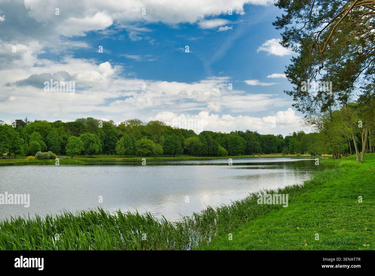 Splendido paesaggio con laghetto e cielo blu con nuvole. Paesaggio estivo nelle giornate di sole. Foto Stock