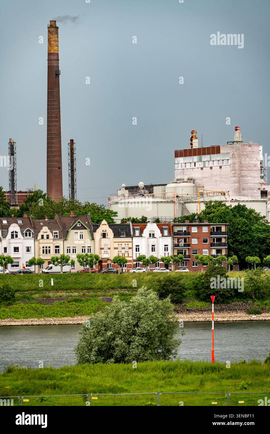Edifici residenziali sul Reno vicino a Duisburg-Homberg, a Wilhelmallee, con l'ex stabilimento chimico Venator alle spalle; dal febbraio 2026, esso Foto Stock