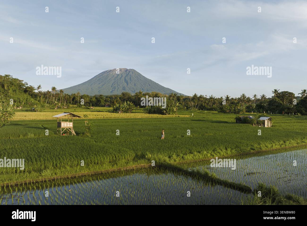 Vista aerea delle risaie con la persona e del vulcano del Monte Agung, Bali, Indonesia Foto Stock