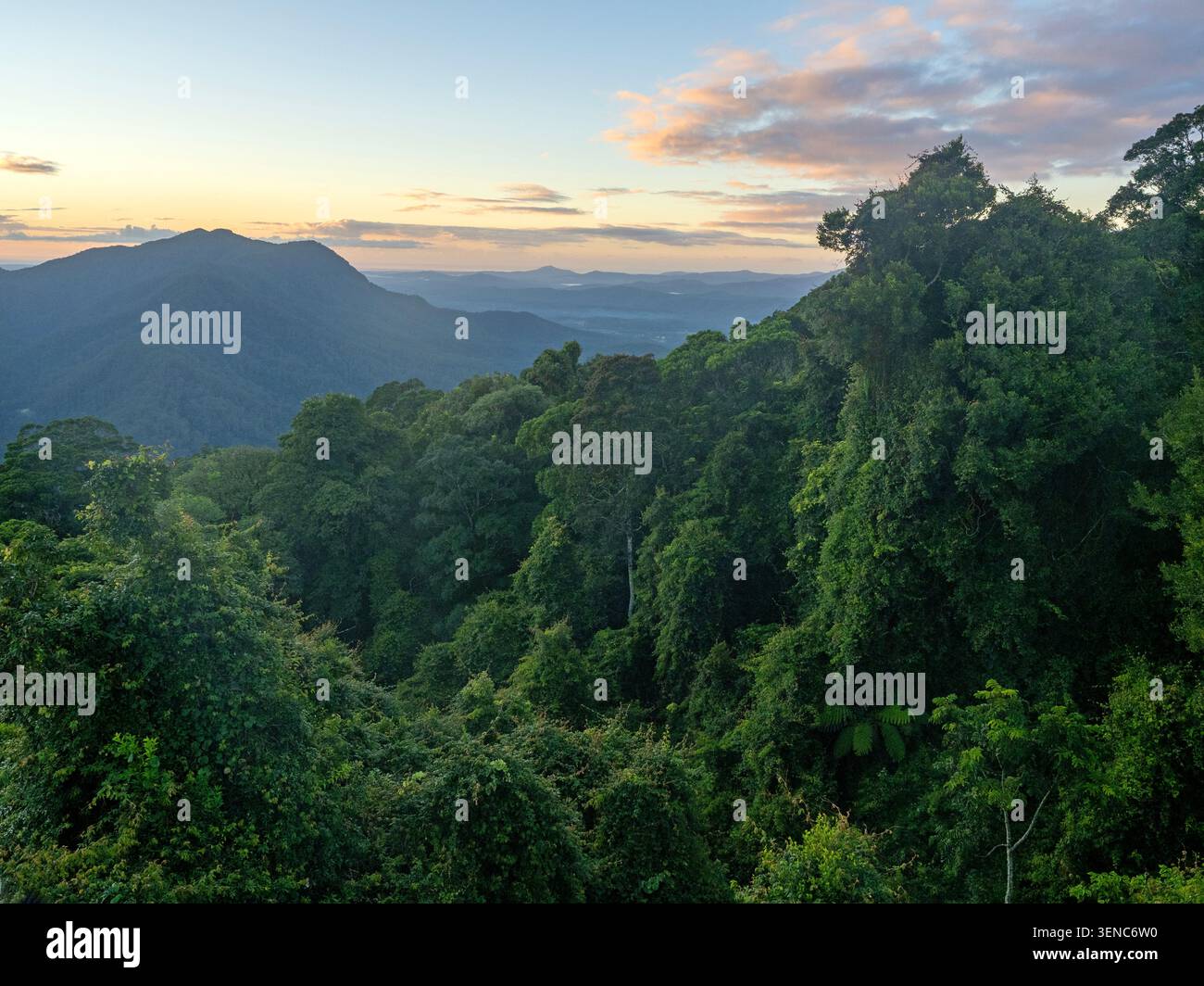 Vista sulla Bellinger Valley dallo Skywalk nel parco nazionale di Dorrigo Foto Stock