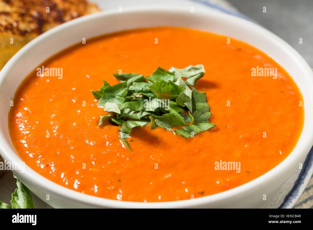 Saporito formaggio alla griglia fatto in casa e zuppa di pomodoro con basilico Foto Stock