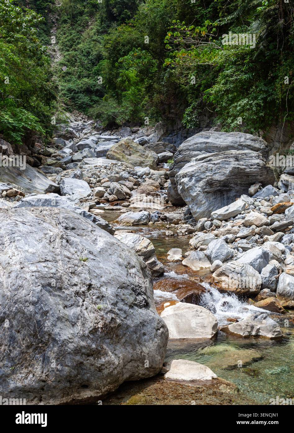 Letto del fiume Sanzhanxi con grandi massi nel Parco Nazionale di Taroko. La lussureggiante foresta verde copre pendii ripidi. Un piccolo torrente scorre attraverso le rocce. Foto Stock
