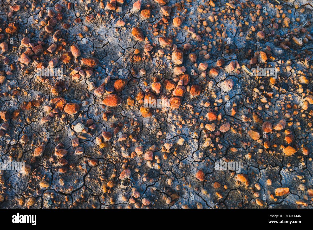 Un primo piano dettagliato dall'alto verso il basso di una terra asciutta e arroccata che mostra sottili crepe e ciottoli e pietre di laterite di colore arancio-rossastro sparsi. Foto Stock
