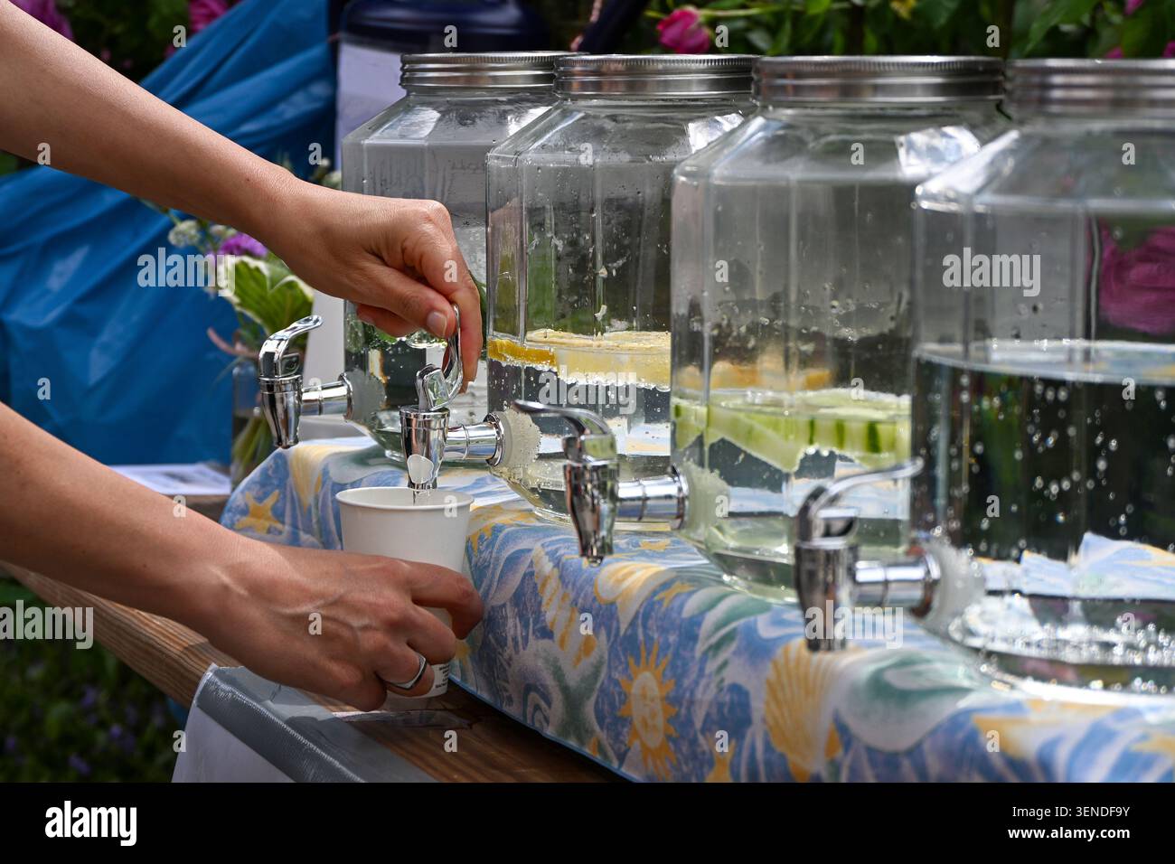 Le mani di una giovane donna stanno raccogliendo l'acqua da una fila di erogatori di vasetti di vetro in una tazza di carta, una bevanda rinfrescante in un festival di strada del quartiere, il poliziotto Foto Stock