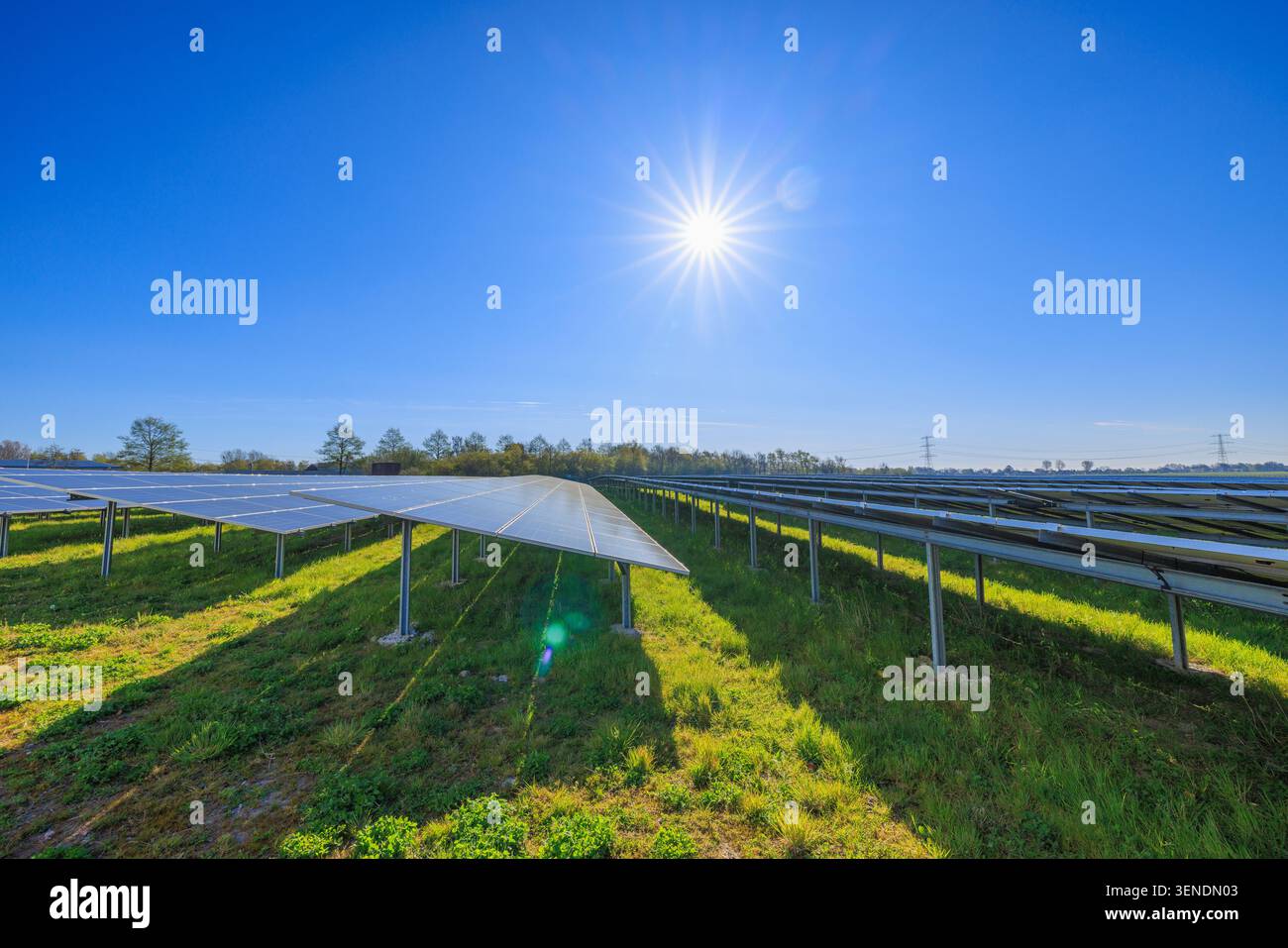 Una fattoria solare con pannelli solari per l'energia verde per prevenire il riscaldamento globale e il cambiamento climatico - Kampen, Paesi Bassi Foto Stock