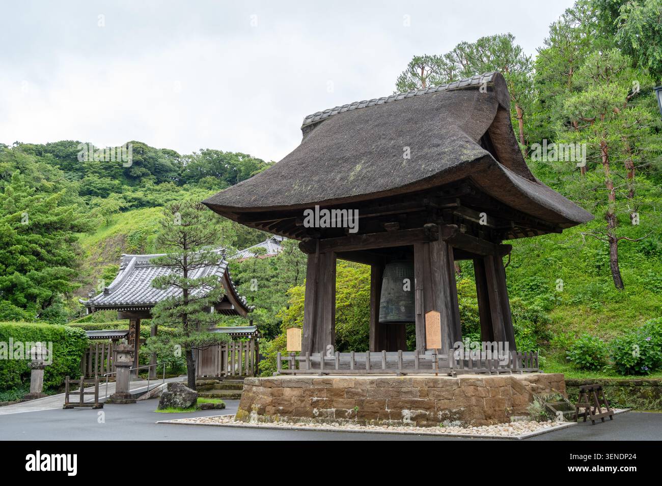 Tradizionale campanile con tetto in paglia accoccolato nel verde del Santuario Kencho-ji, uno storico tempio buddista zen a Kamakura, in Giappone Foto Stock