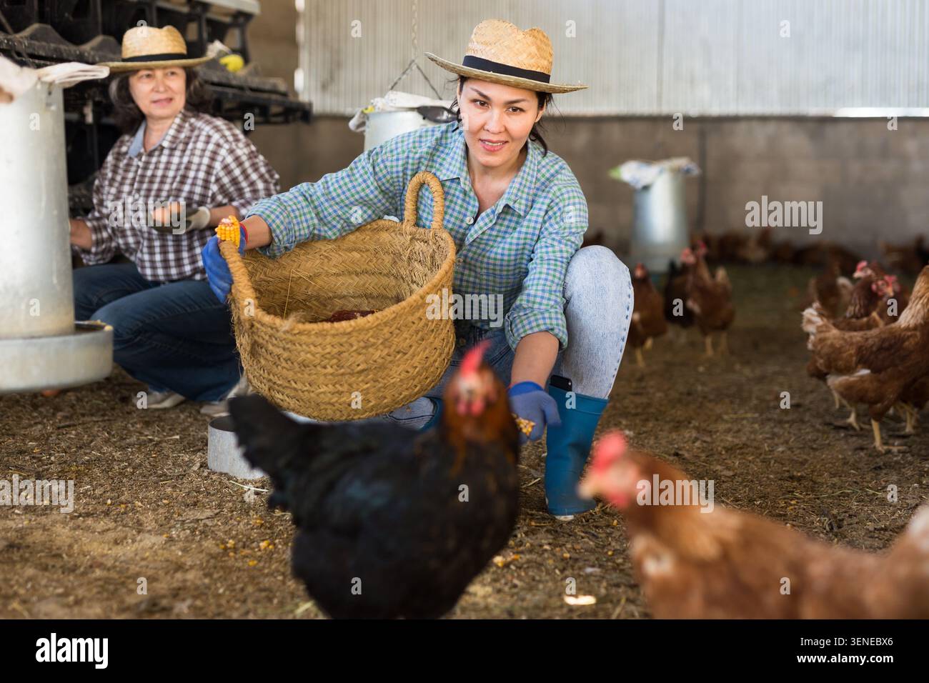 Donna kazaka nutre galline ovaiole Foto Stock