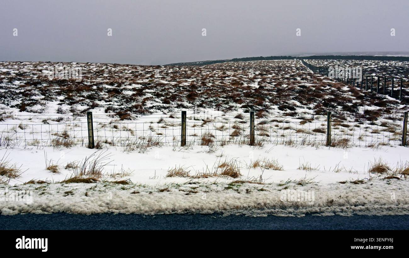 Recinzione di neve e filo sulla A689 vicino ad Allenheads. Northumberland, Inghilterra, Regno Unito, Europa. Foto Stock