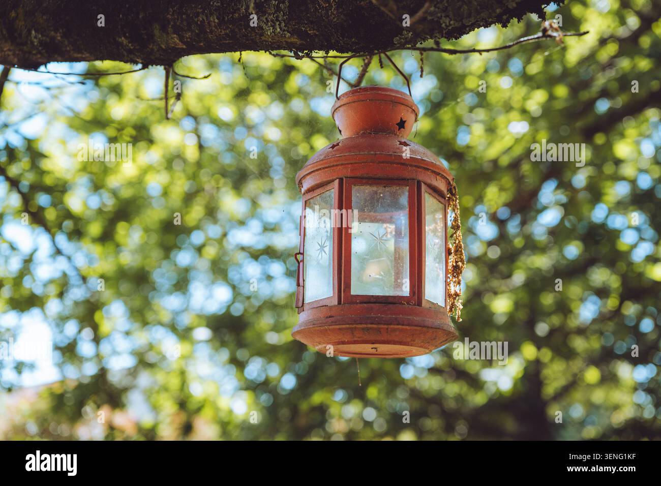 Quinta Pedagógica Casa das Palmeiras, Mangualde, Portogallo, una lanterna rossa rustica d'epoca appesa graziosamente da un ramo d'albero in un giardino soleggiato. Foto Stock