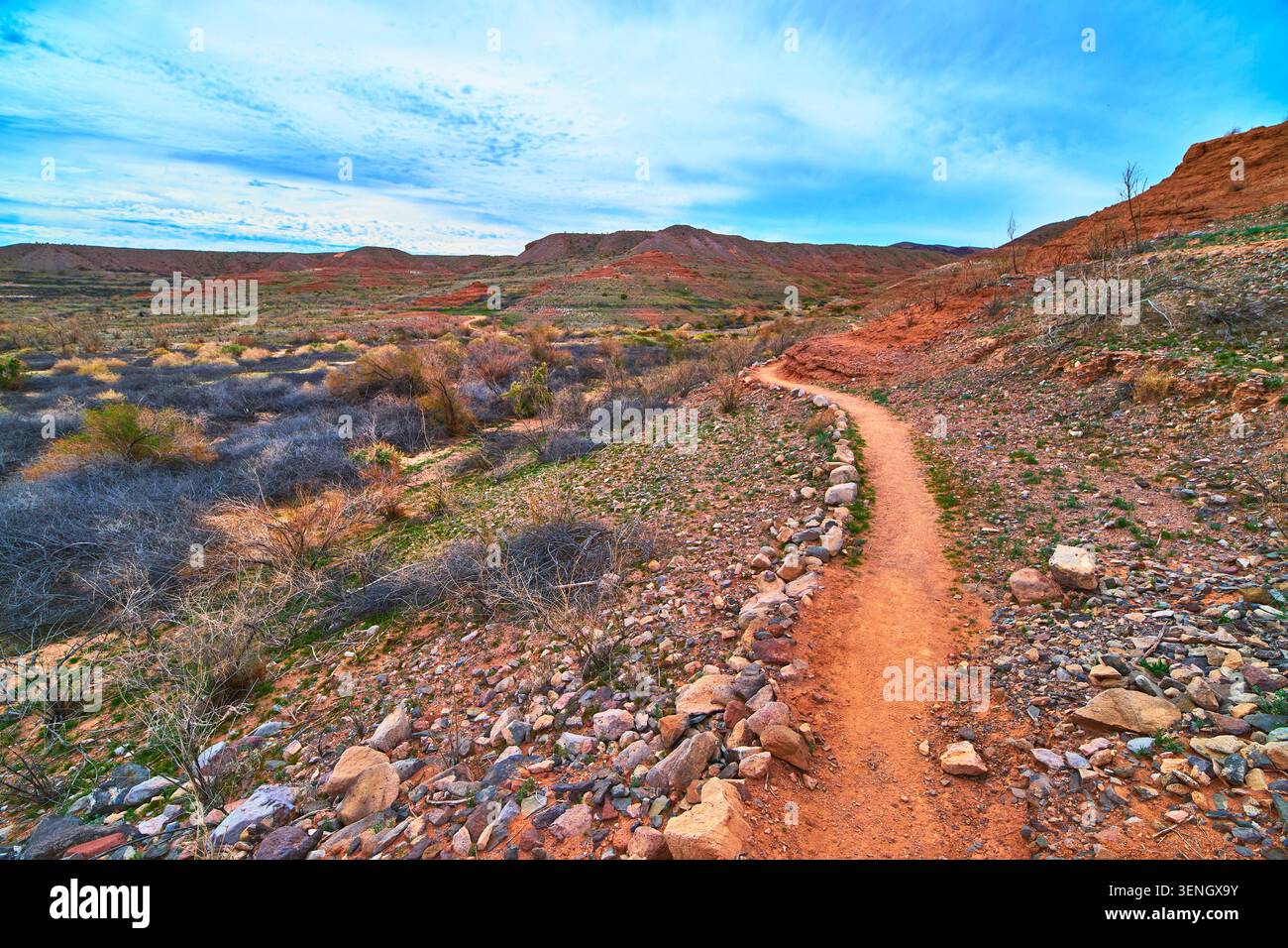 Sentiero roccioso del deserto e colline colorate sotto il cielo largo Foto Stock