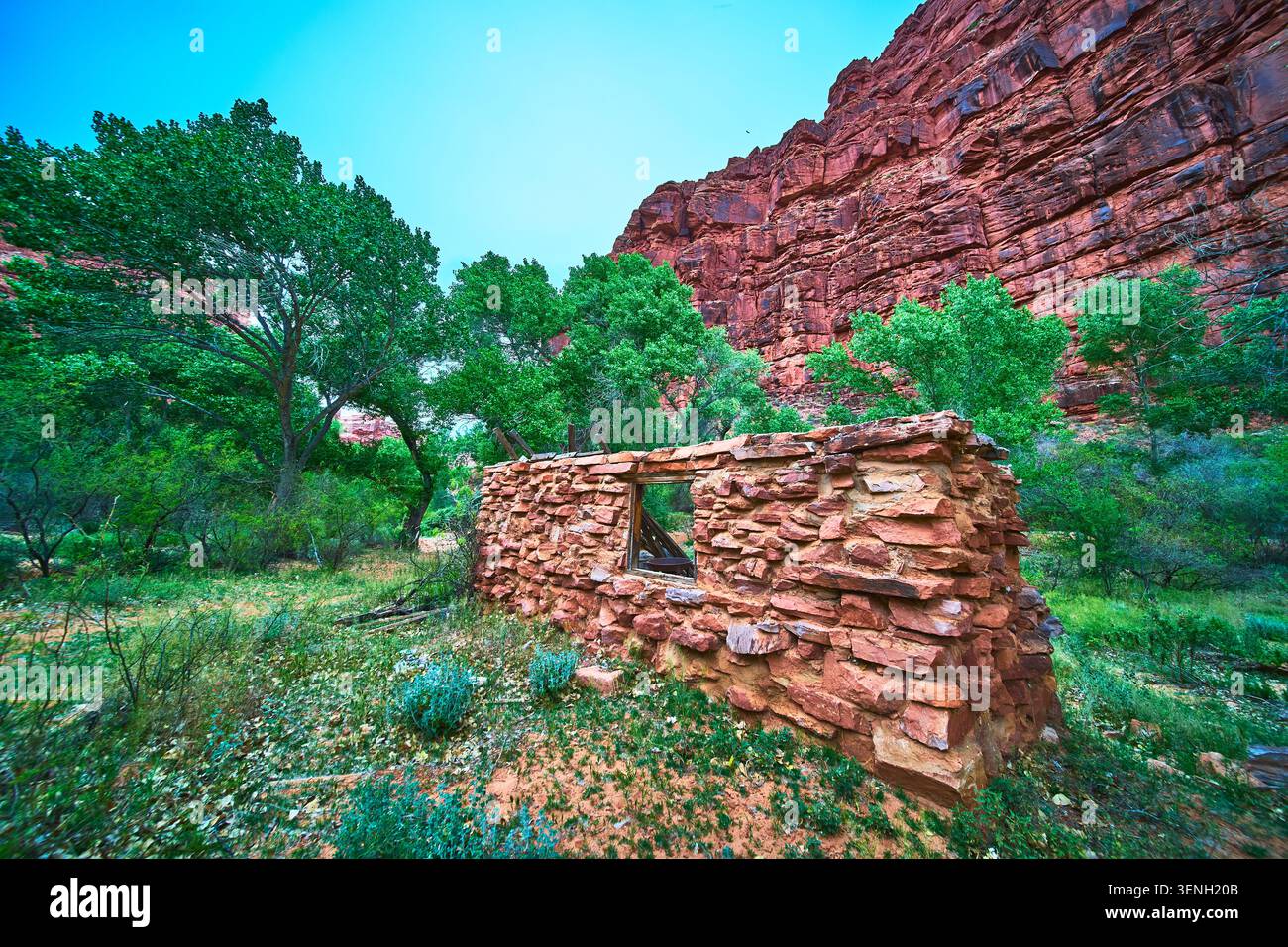 La struttura in pietra abbandonata rovina tra le Red Cliffs e gli alberi lussureggianti in Arizona Foto Stock
