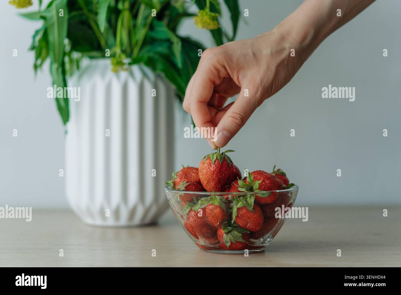 Raccogliere a mano una fragola rossa fresca da una ciotola di vetro trasparente, evidenziando il piacere di uno spuntino vegano sano e i benefici nutrizionali della frutta estiva per una dieta equilibrata Foto Stock