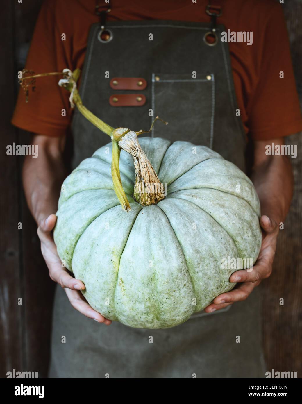 Mani maschili che tengono la zucca verde su sfondo rustico con illuminazione soffusa. Concetto di raccolto autunnale con zucca e verdure di stagione Foto Stock