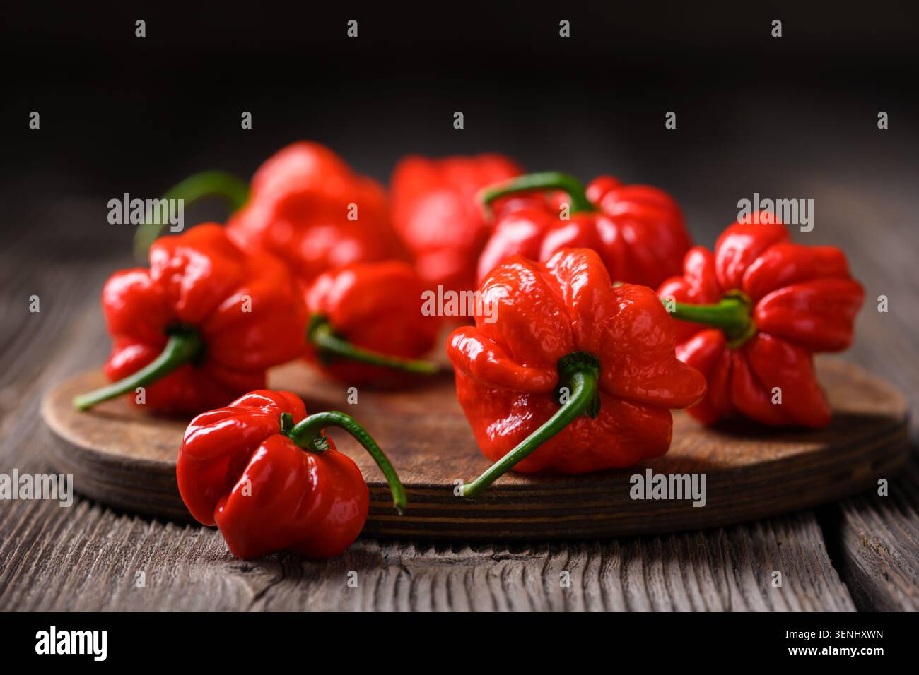 Ammasso di peperoni habanero rossi su tavola di legno con messa a fuoco morbida. Cialde di peperoncino fresco con cibo naturale Foto Stock