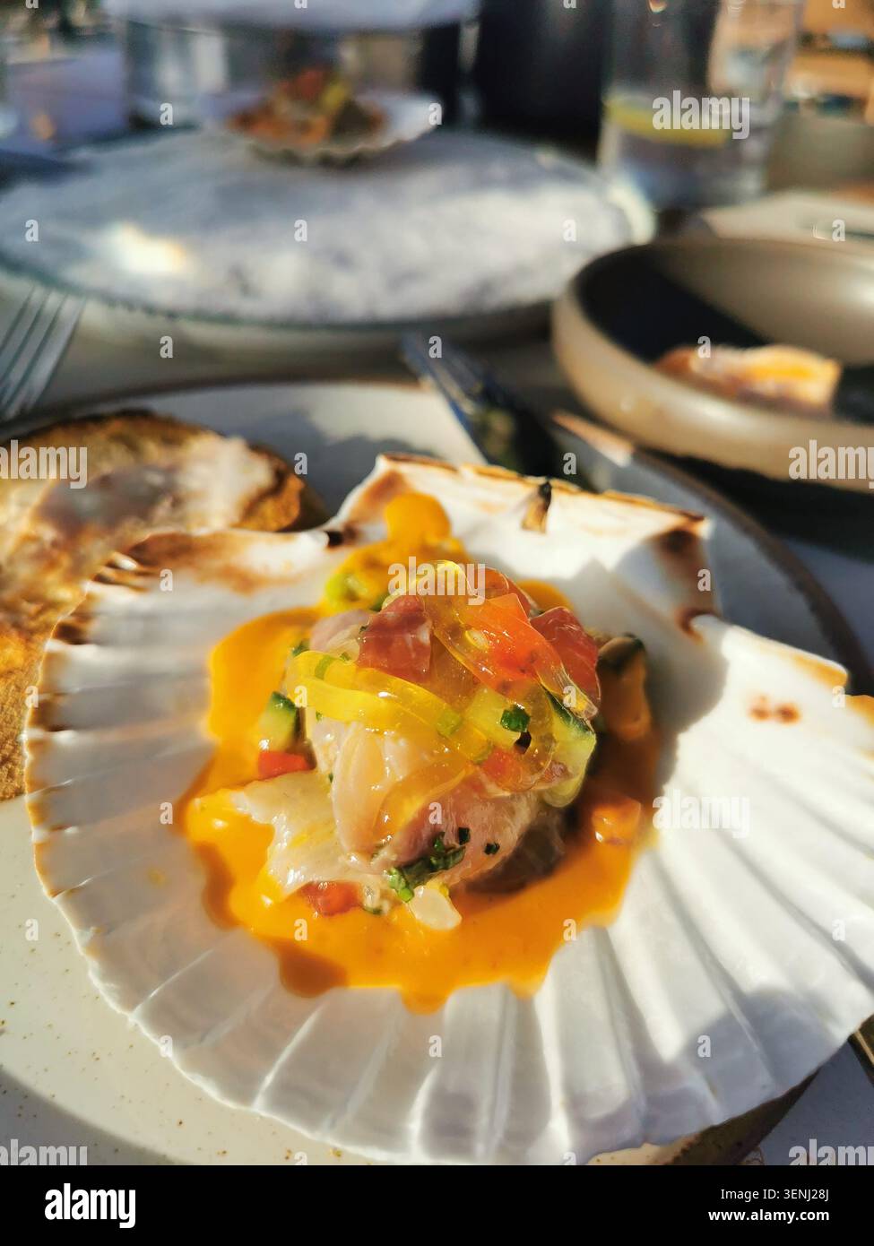 Autentica cucina greca con ceviche di branzino mediterraneo fresco servito in conchiglie di capesante. Foto di scorta di cucina greca per blog culinari. - Immagine stock catturata con smartphone