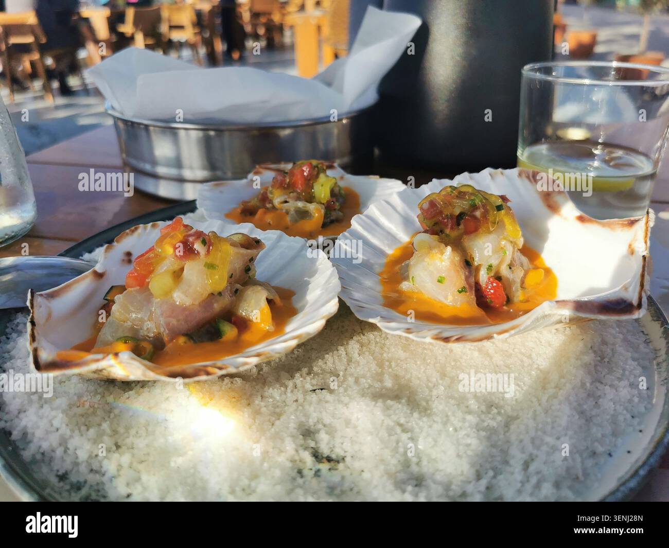 Autentica cucina greca con ceviche di branzino mediterraneo fresco servito in conchiglie di capesante. Foto di scorta di cucina greca per blog culinari. - Immagine stock catturata con smartphone