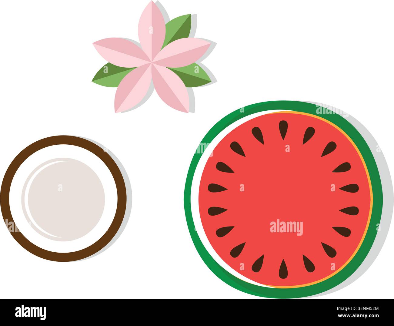 illustrazione vettoriale isolata del set di fiori tropicali di cocco dell'anguria Illustrazione Vettoriale