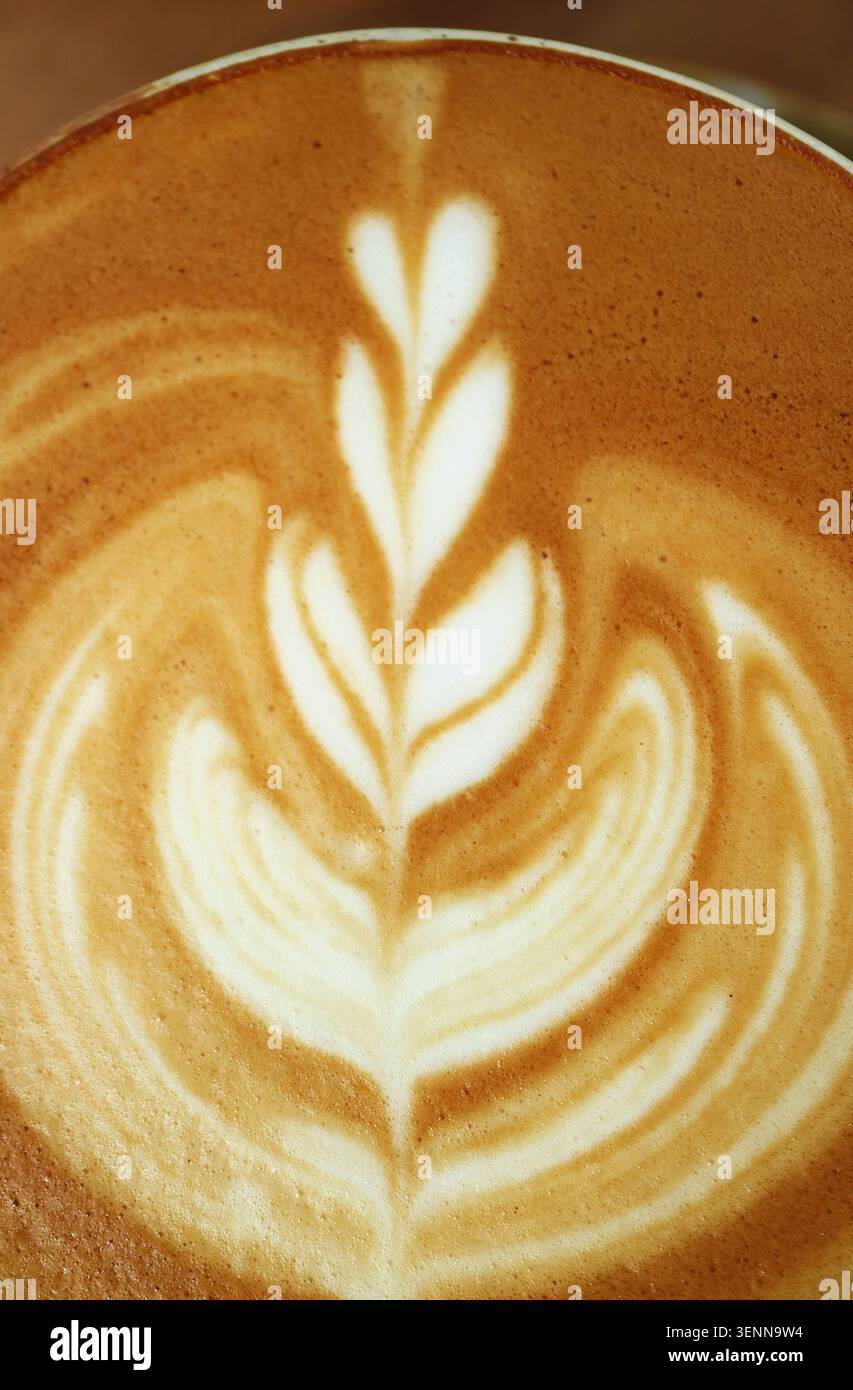 Vista dall'alto della splendida latte art rosetta con texture in microschiuma vellutata e liscia Foto Stock