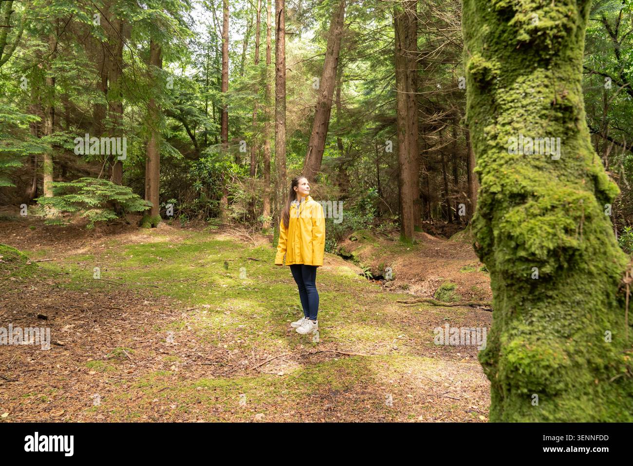 Giovane donna che esplora la foresta verde indossando una giacca impermeabile gialla Foto Stock