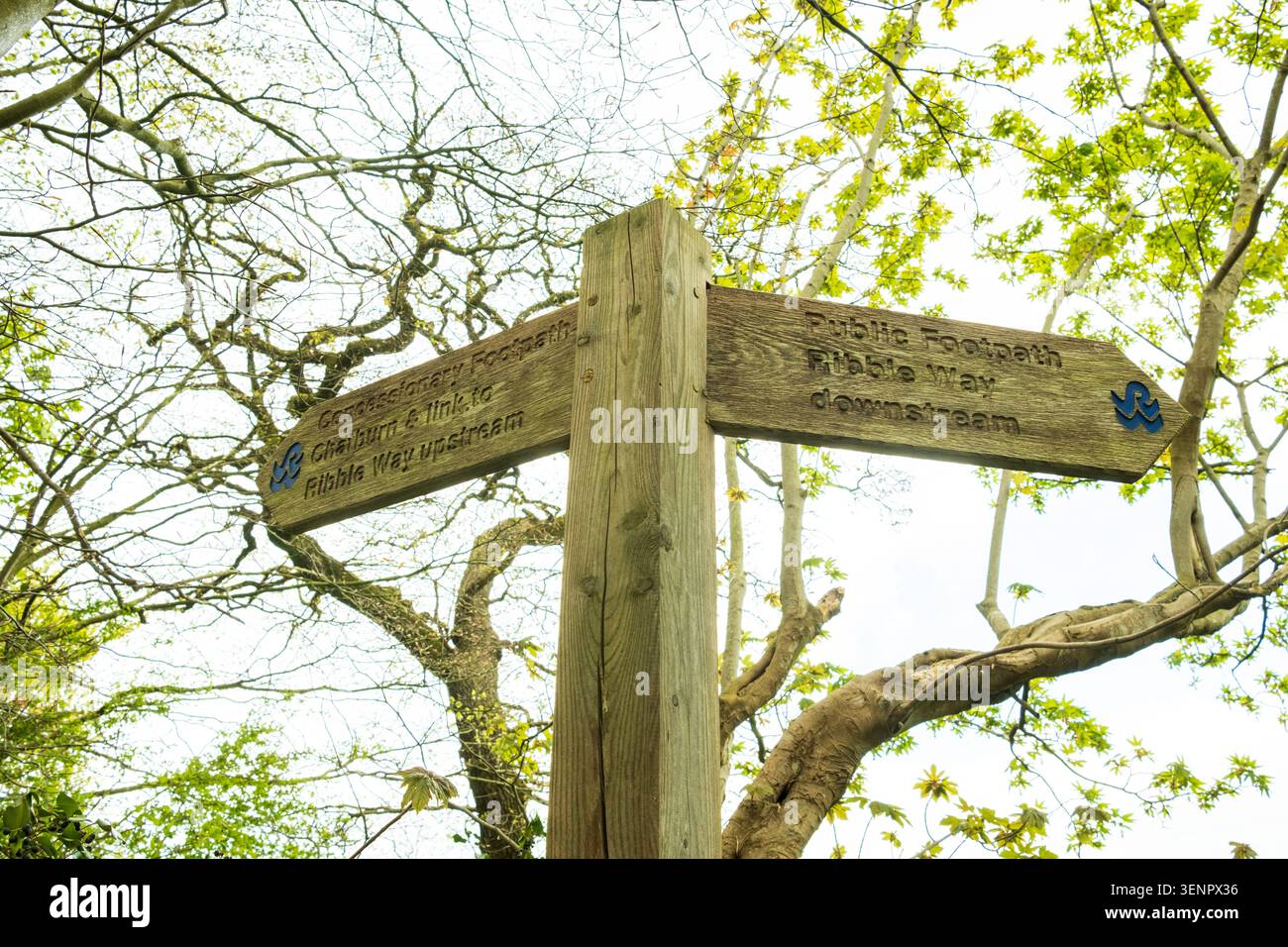Cartello in legno nel Lancashire che segna il sentiero pedonale Ribble Way, indirizzando gli escursionisti verso Chatburn e il corso del fiume. Foto Stock