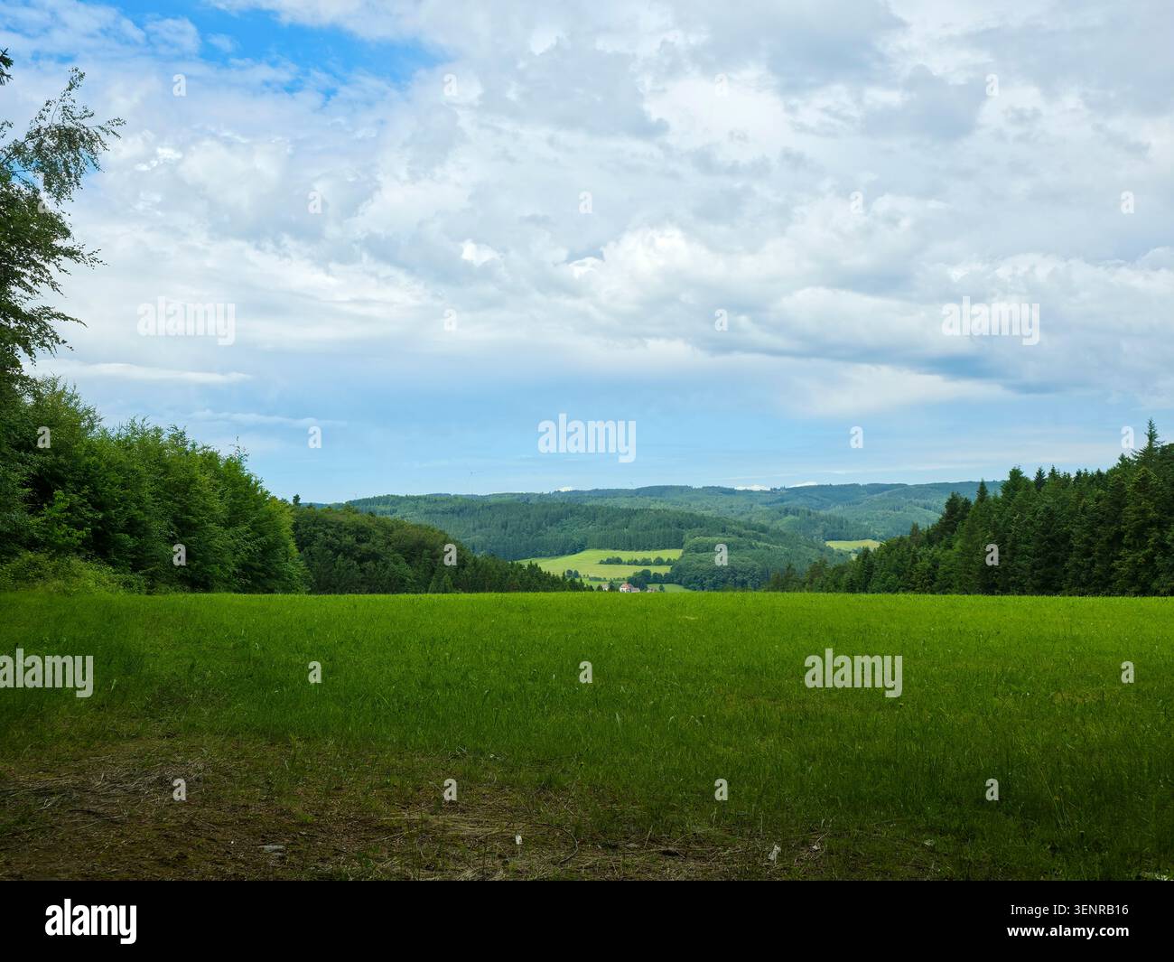 germania, magnifica vista panoramica sulle verdi colline boscose sotto il cielo azzurro dell'estate Foto Stock