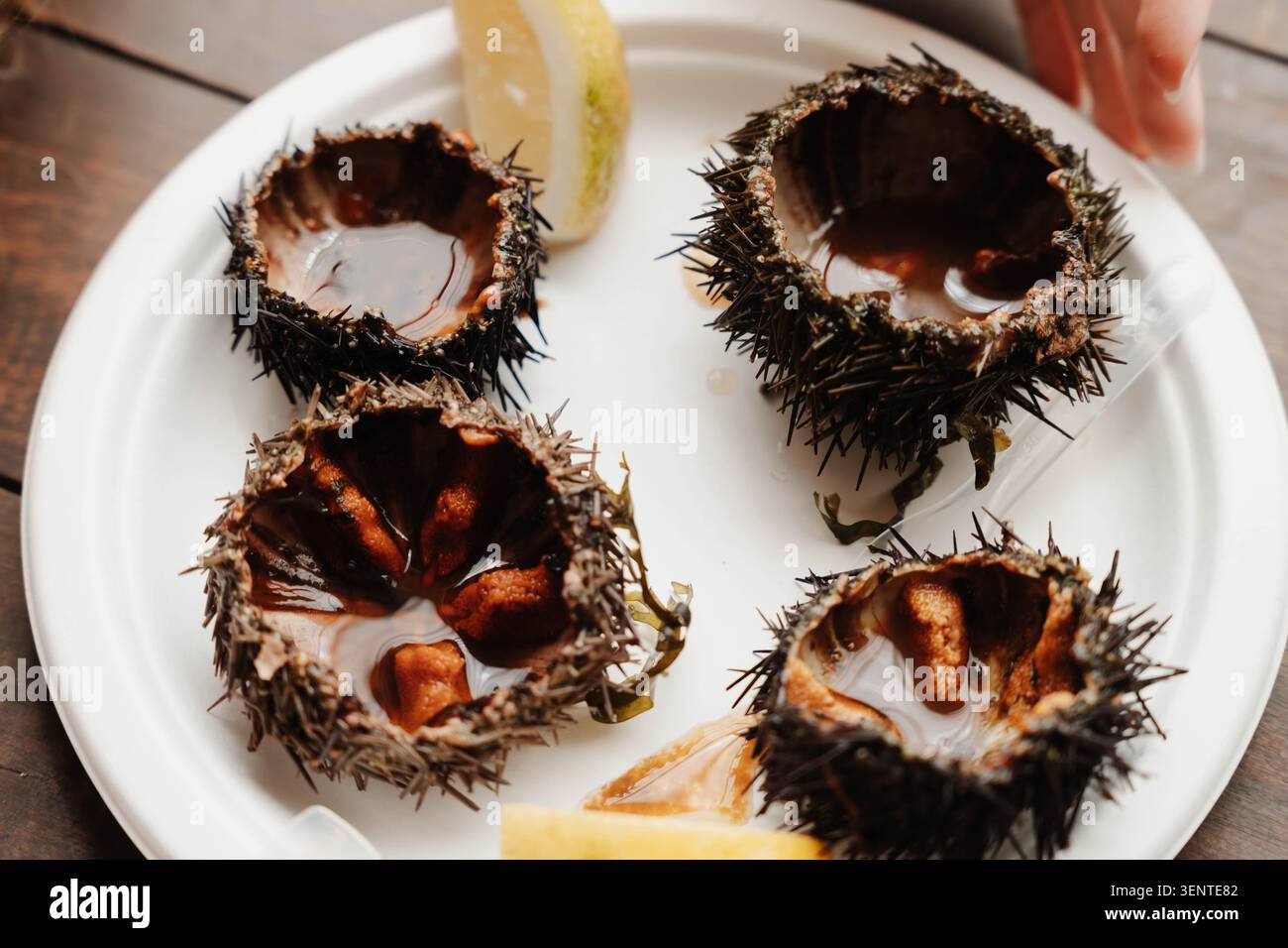 Ricci di mare freschi con uova serviti su un piatto con una fetta di limone durante il festival del pesce. Una rara prelibatezza stagionale. Concetto: Freschezza Foto Stock