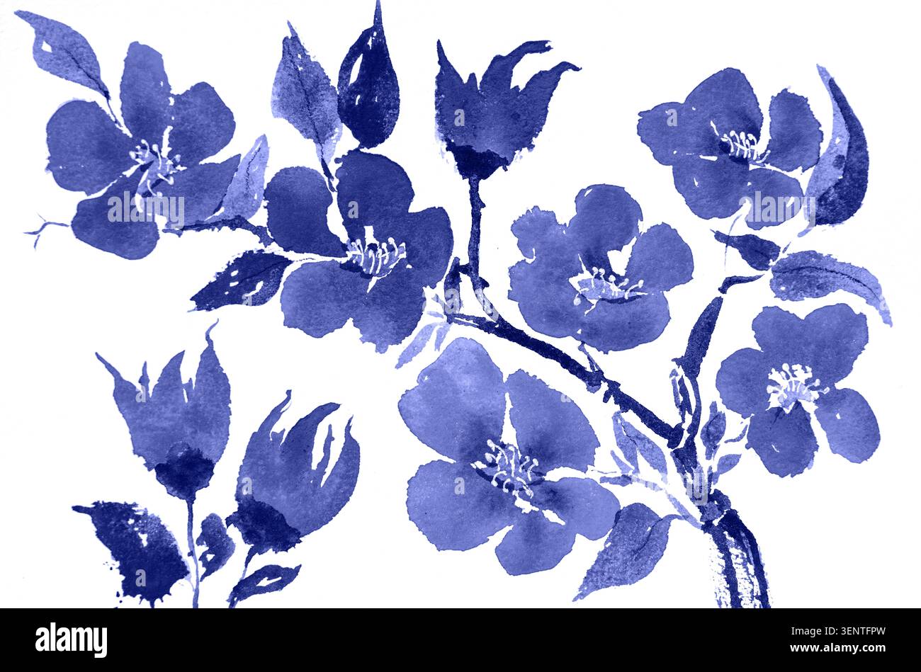 Fiori di ciliegio blu, fiori ispirati a delft, ispirazione sakura. La tecnica di ababbing offre un effetto di messa a fuoco morbido a causa della ruvidità alterata della superficie di Foto Stock