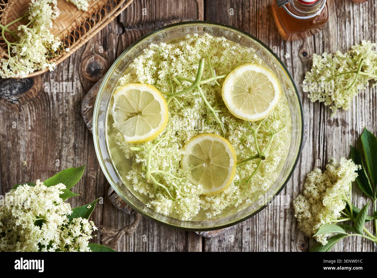 Preparazione di sciroppo alle erbe fatto in casa da fiori freschi di sambuco selvatico e limone in una ciotola, vista dall'alto Foto Stock